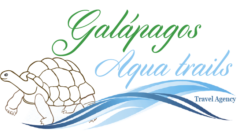 Galapagos Aquatrails